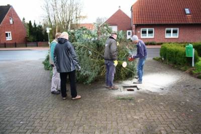 Aufstellen des Weihnachtsbaumes