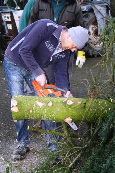 Stefan Fremy in seinem Element. Der Baum musste noch ordentlich gekrzt werden